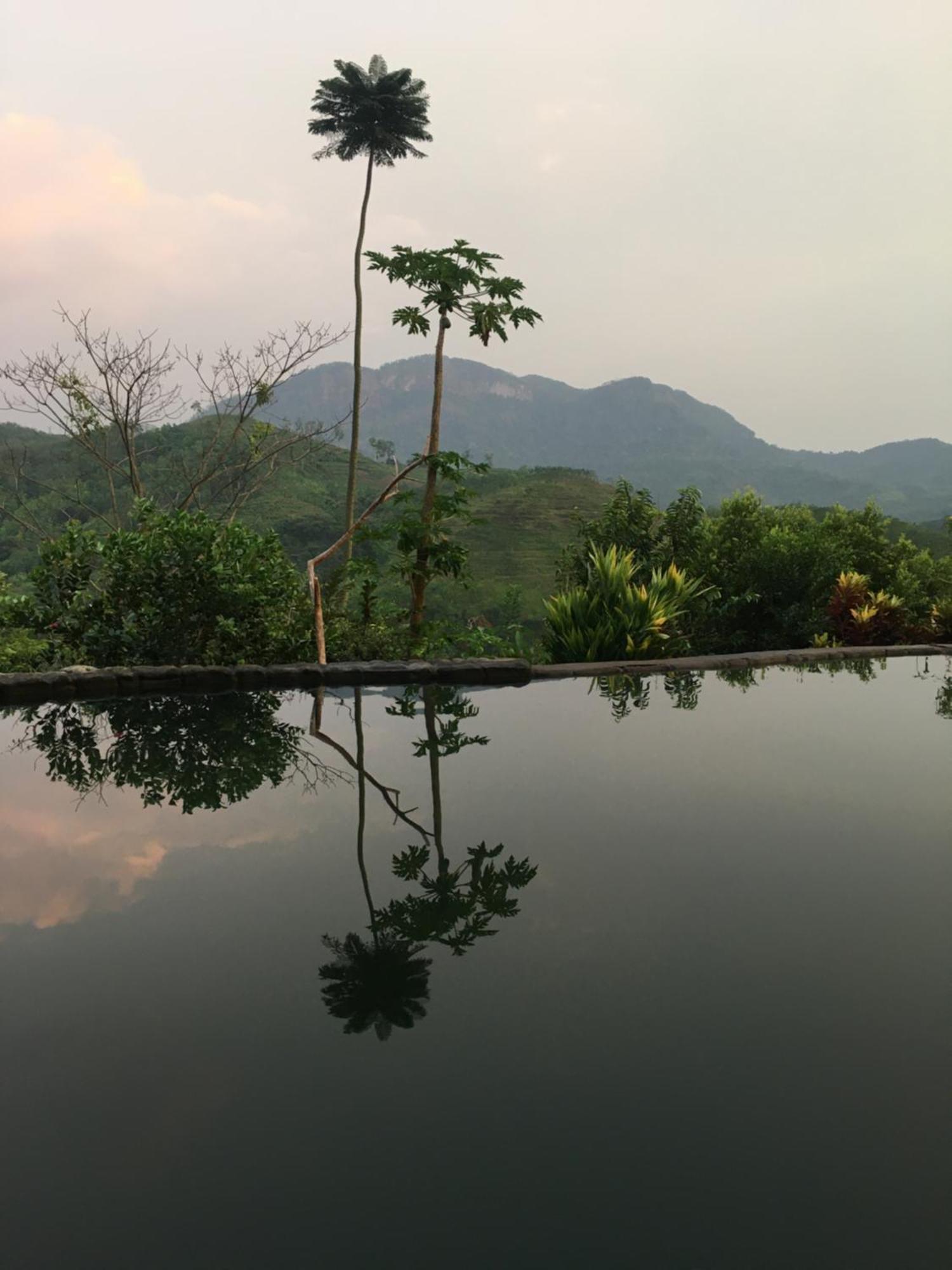 Paradise Eco Garden كتولغالا المظهر الخارجي الصورة