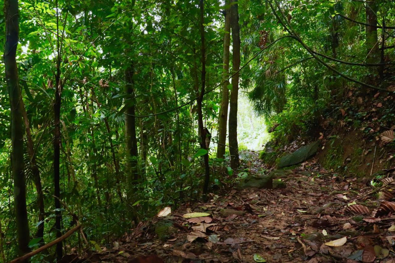 Paradise Eco Garden كتولغالا المظهر الخارجي الصورة