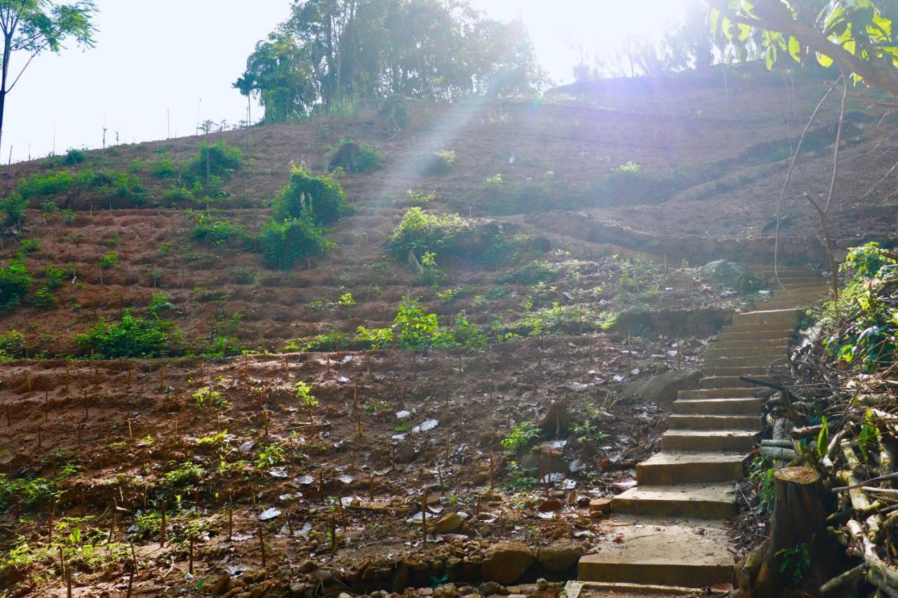 Paradise Eco Garden كتولغالا المظهر الخارجي الصورة